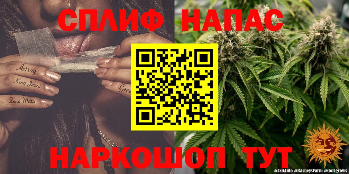 Канабис SATIVA & INDICA Сунжа
